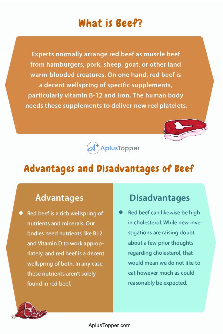 beef-advantages-and-disadvantages-5-pros-and-cons-of-beef-health