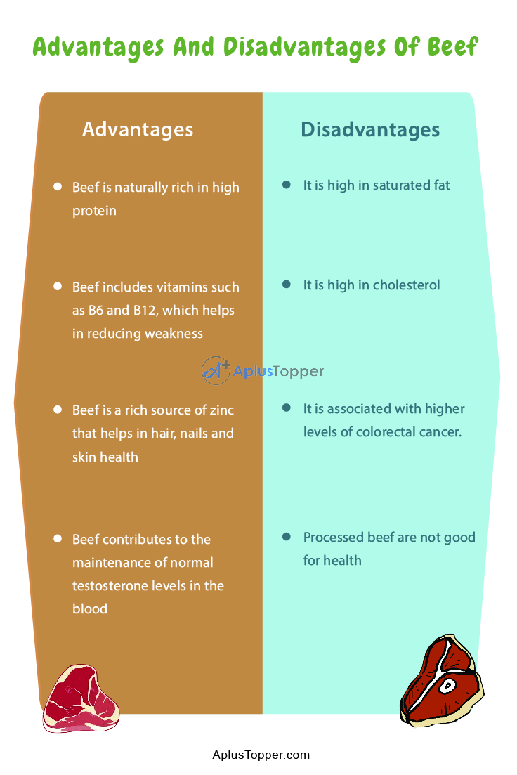 pros and cons of eating meat essay