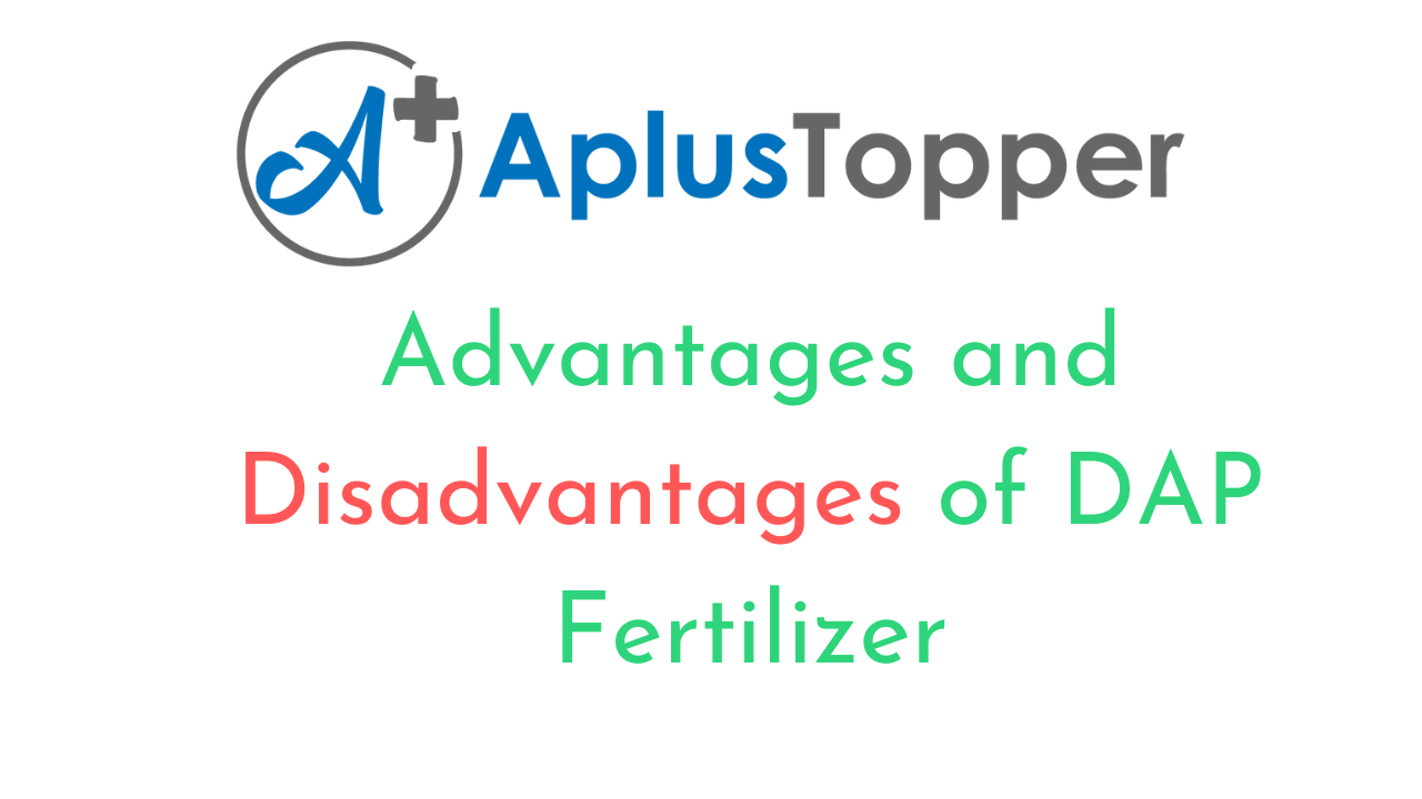 DAP Fertilizer Advantages And Disadvantages