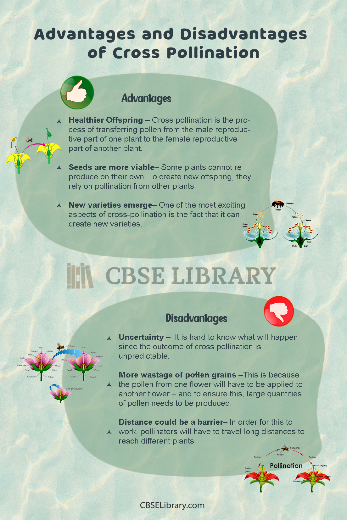 Advantages and Disadvantages of Cross Pollination 1