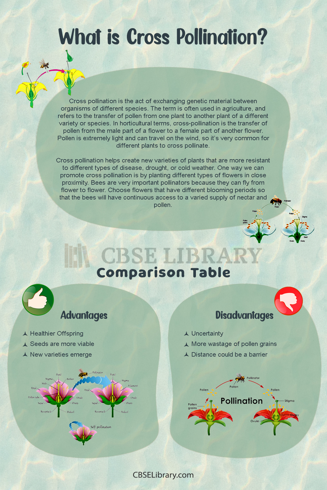 Advantages and Disadvantages of Cross Pollination 2