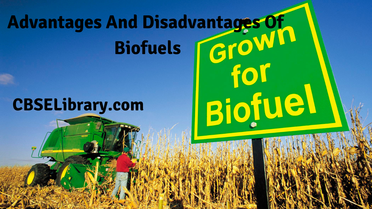 Biofuels Advantages And Disadvantages