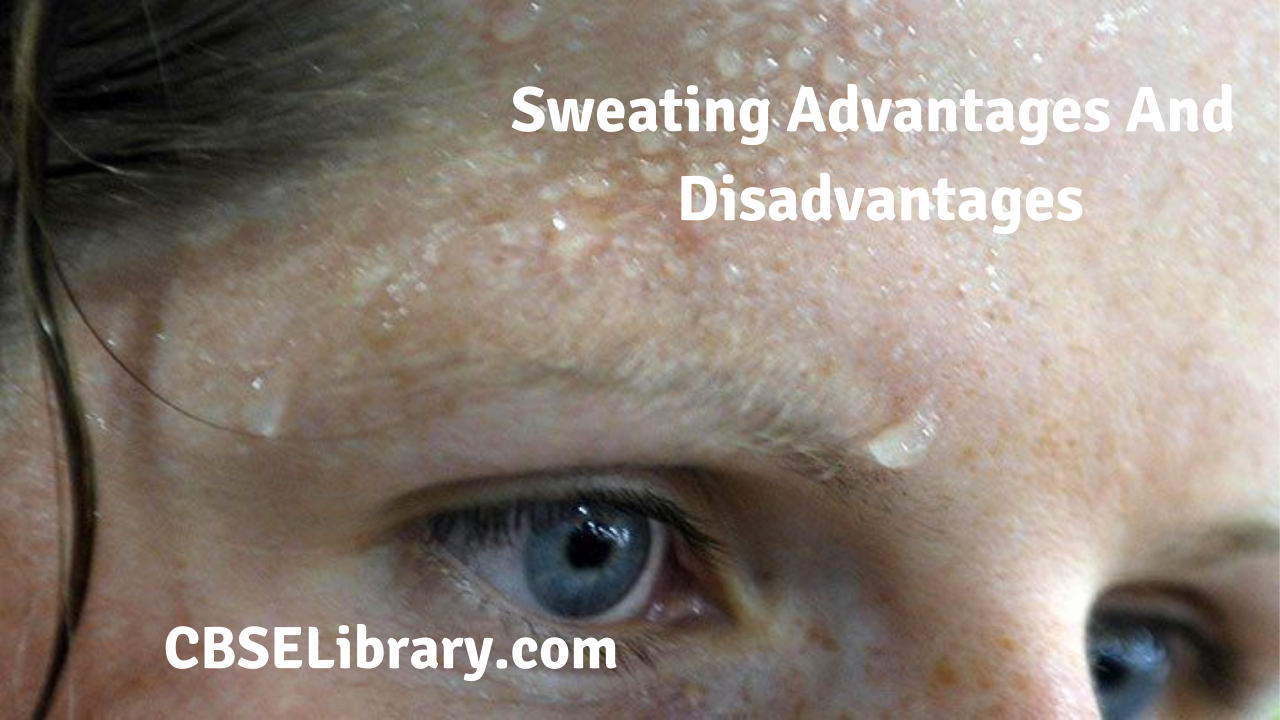 Sweating Advantages And Disadvantages