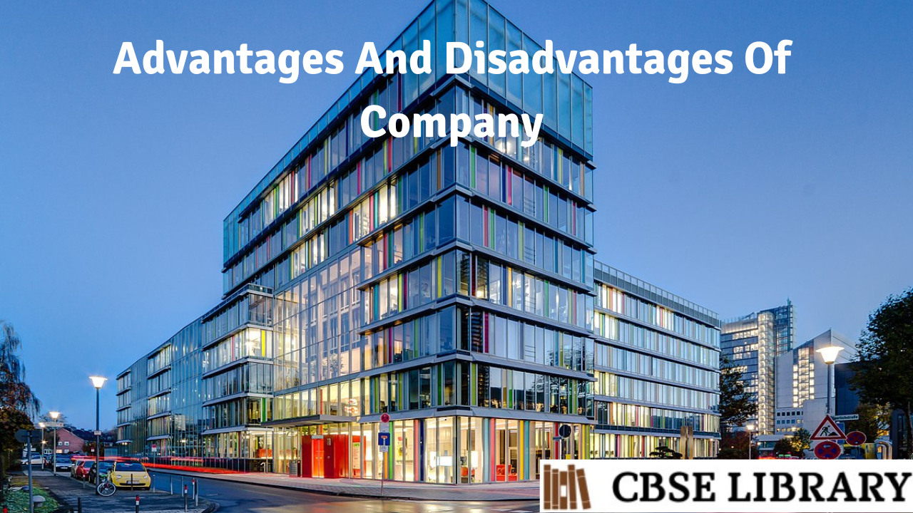 Advantages And Disadvantages Of Company