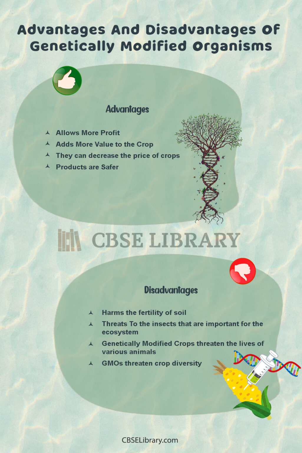 Modified Organisms Advantages And Disadvantages What are Modified
