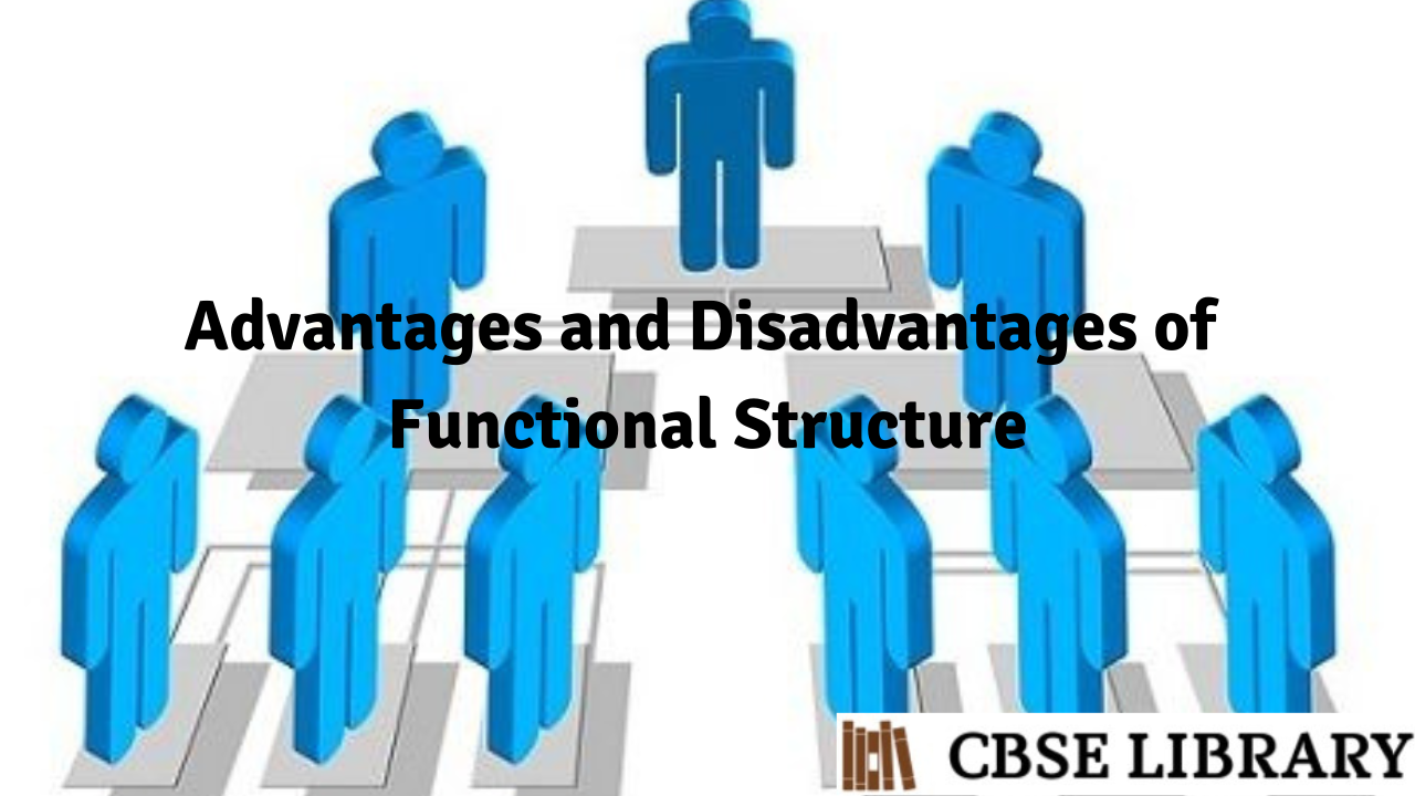 Advantages and Disadvantages of Functional Structure