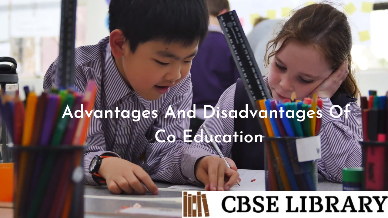 co education advantages & disadvantages essay