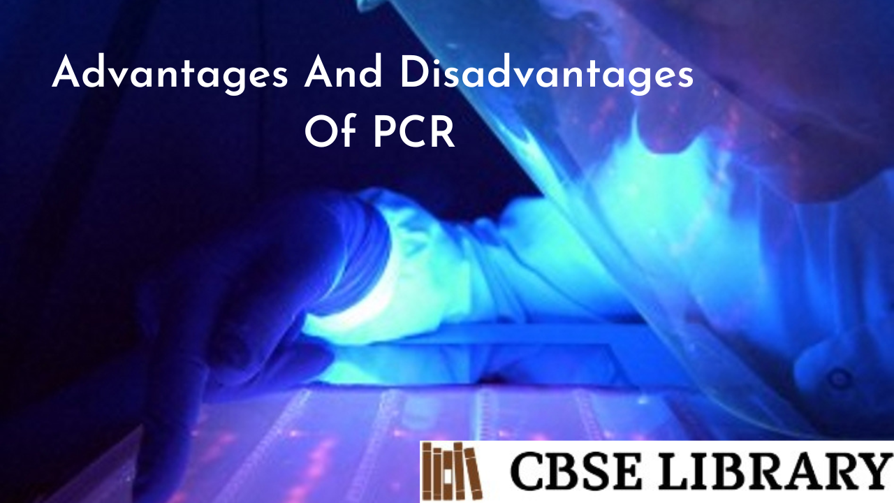 Advantages And Disadvantages Of PCR