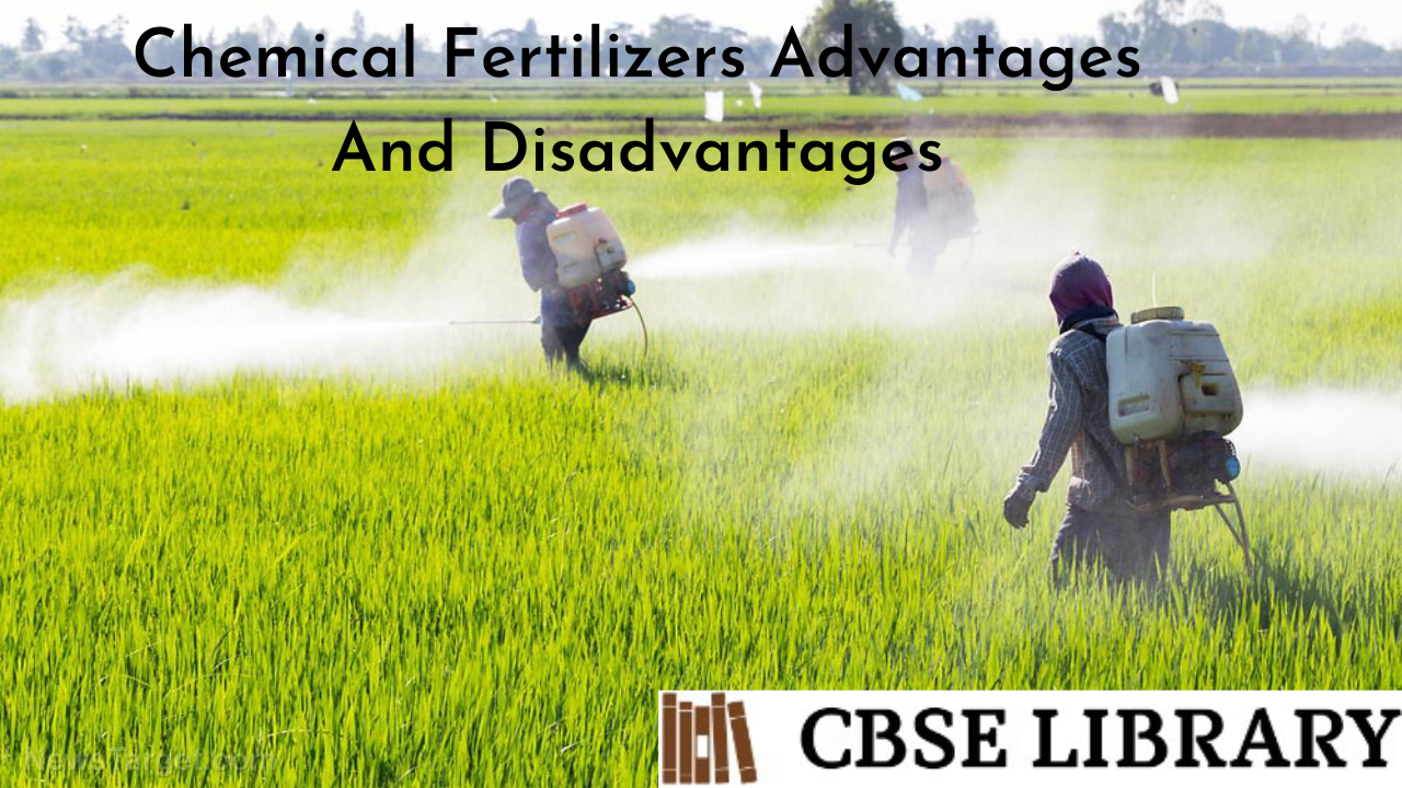 Chemical Fertilizers Advantages And Disadvantages