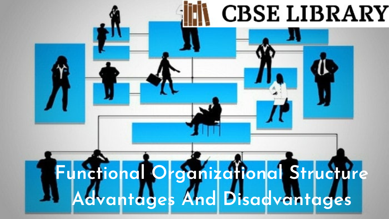 Functional Organizational Structure Advantages And Disadvantages