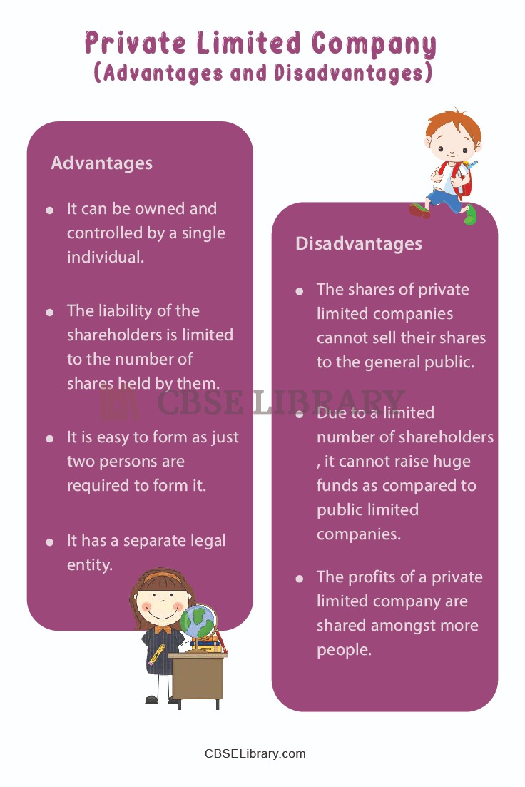 Private Limited Company Advantages and Disadvantages 2