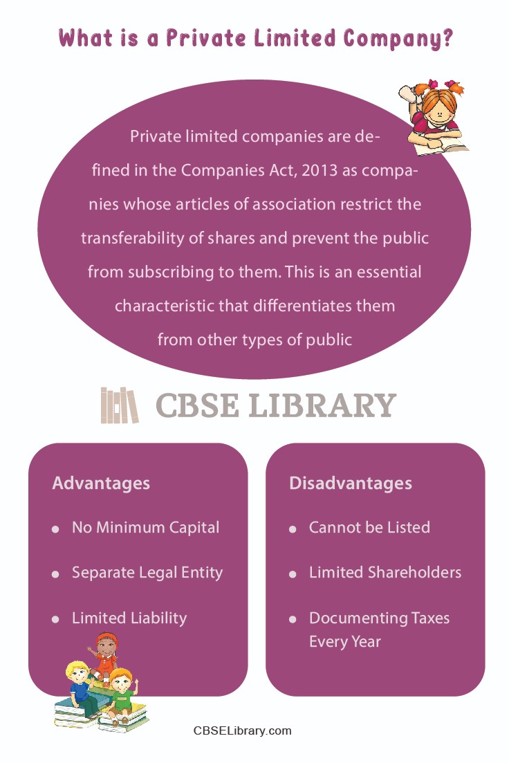 Private Limited Company Advantages and Disadvantages
