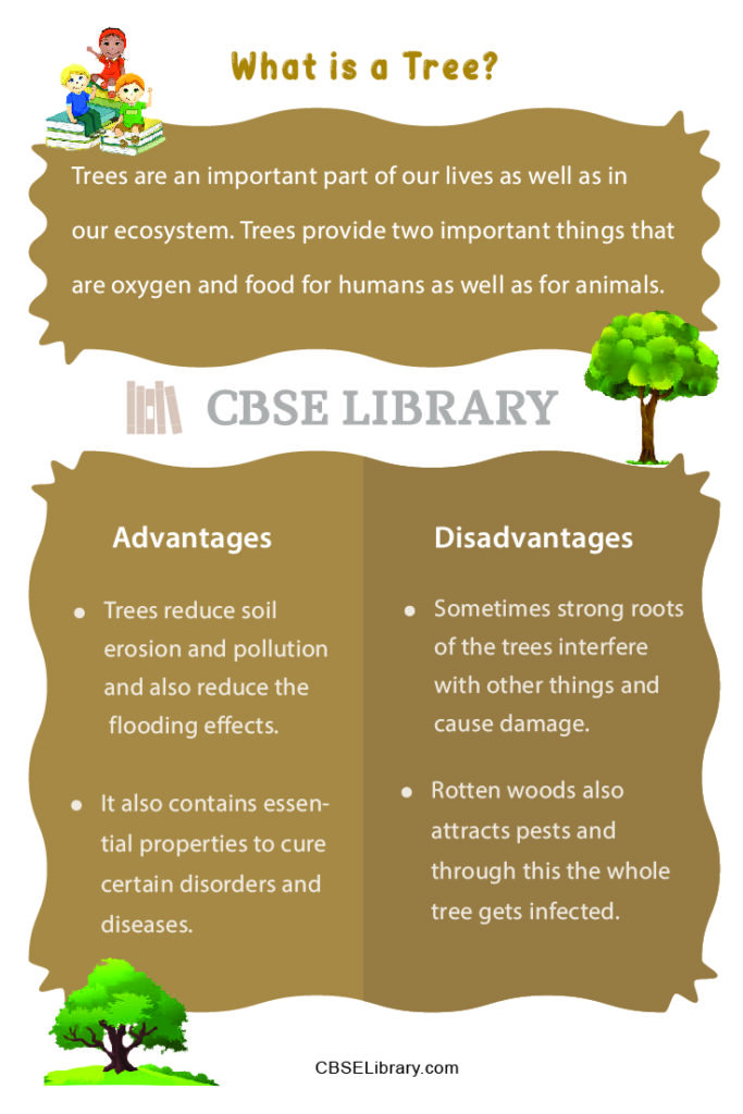 types-of-trees-set-design-vector-download