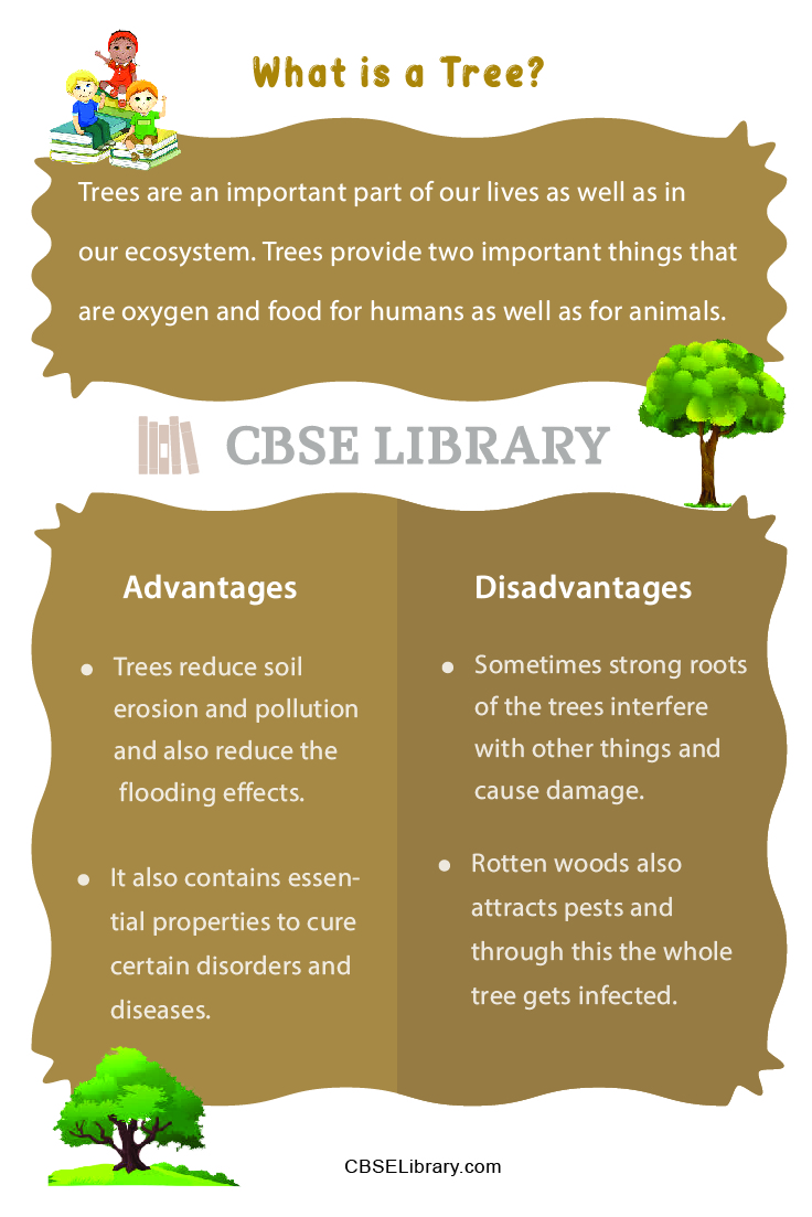 Trees Advantages And Disadvantages